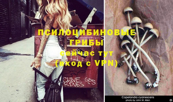 каннабис Усмань