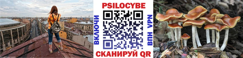 Купить  Юрьевец  Псилоцибиновые грибы прущие грибы 